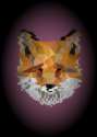 cyberfox2 (2).jpg