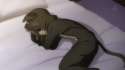Cat.pajamas.sleep.png