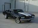 chevelless.jpg