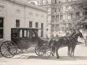 Horse Drawn Carriage.jpg