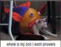 lol.jpg