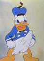 Donald Dong.jpg