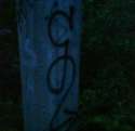 DSC03056.jpg