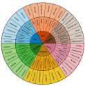 Feeling-Wheel.jpg