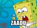 zaadu.jpg