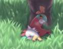 hawlucha.jpg