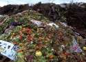 food-waste.jpg