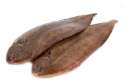dover-sole.jpg