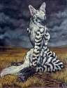 wild beauty.jpg