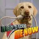 96f8f2.jpg
