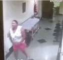 mad-cow-surprise-cow-decides-to-plow-through-a-hospital.gif