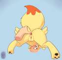 Fennekin31b.png