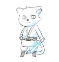 jedi cat.png