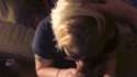 7503142a3.gif