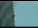 2997022_o.gif