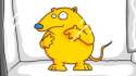 gerbil in microwave.jpg