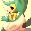 snivy10.jpg