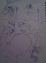 Goodra85b.jpg