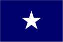 Bonnie Blue.png