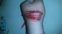 IMG-20160913-WA0033.jpg