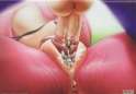 1194668 - Amy_Rose Sonic_Team sex fav.jpg
