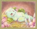Ivysaur17.jpg