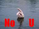 water_no_u.jpg