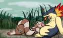 Furret16.jpg
