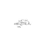 bones.png