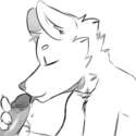 Cat.png