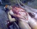 350px-Dissected-chan-004.jpg