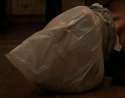 bag.gif