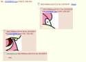 wat.jpg