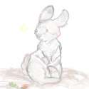 bunbun.png