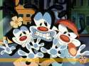 Animaniacs.jpg