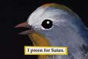 I preen for Satan.jpg