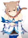141474334178~02.png