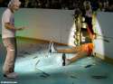 Hillary-Clinton-Crashes-Iceskating-117646.jpg