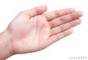 hand-012[1].jpg