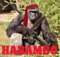 CpHnz0UVYAA9s1n.jpg
