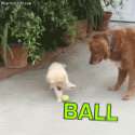 1473991975515.gif