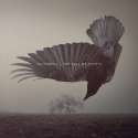 Katatonia_-_Fall_Of_Hearts_-_Medium_Res_Cover.jpg