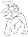 1183429260.dcrabbit_dc-bbgrabboobs.jpg