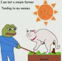 tending to my memes.png