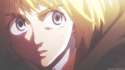 what2.jpg