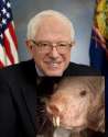 Bernie_Sanders.jpg