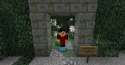 dark forest minecraft basic beta.jpg