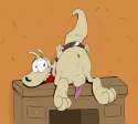 1081279_SkunkJunkie_rocko_doodle.png