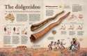 Didgeridoo.jpg