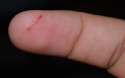 Oww_Papercut_14365_1.jpg